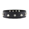 Convenient Buckle Leather Collar